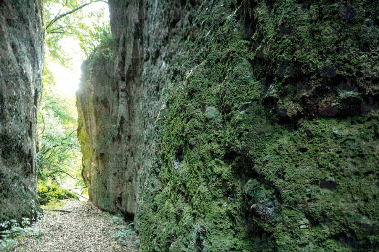 La Casetta Di VI Sutri Dış mekan fotoğraf